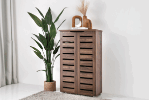 Shoe Cabinet